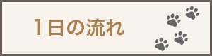 1日の流れ