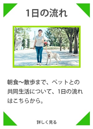 1日の流れ